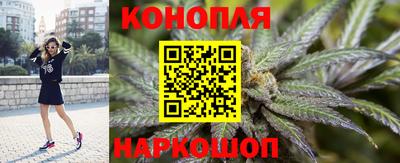 крисы Бузулук