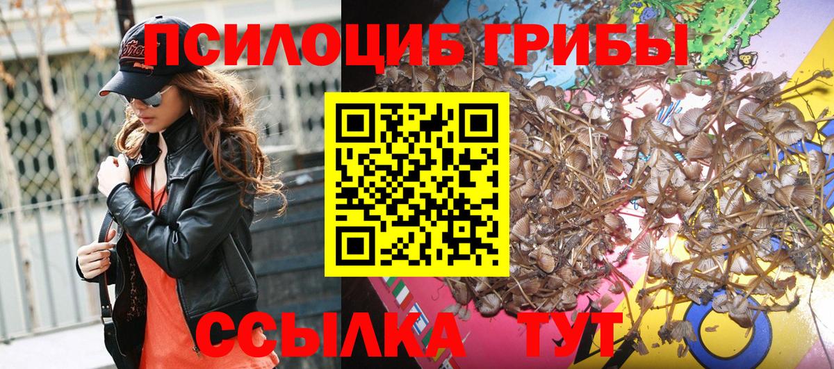 Галлюциногенные грибы MAGIC MUSHROOMS  где найти наркотики  Маркс  Вход с VPN 