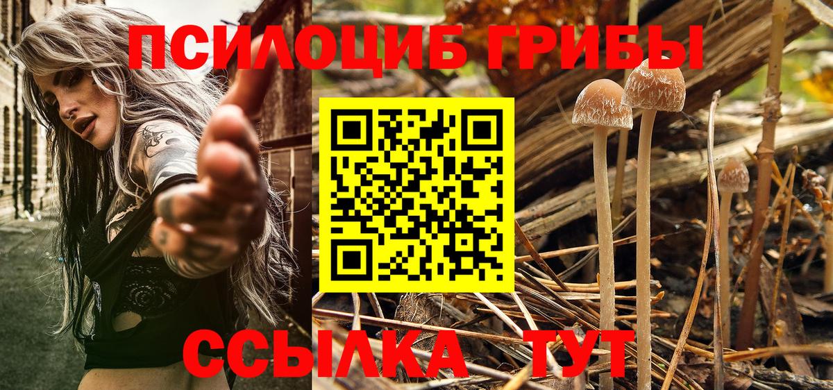 Галлюциногенные грибы прущие грибы Маркс